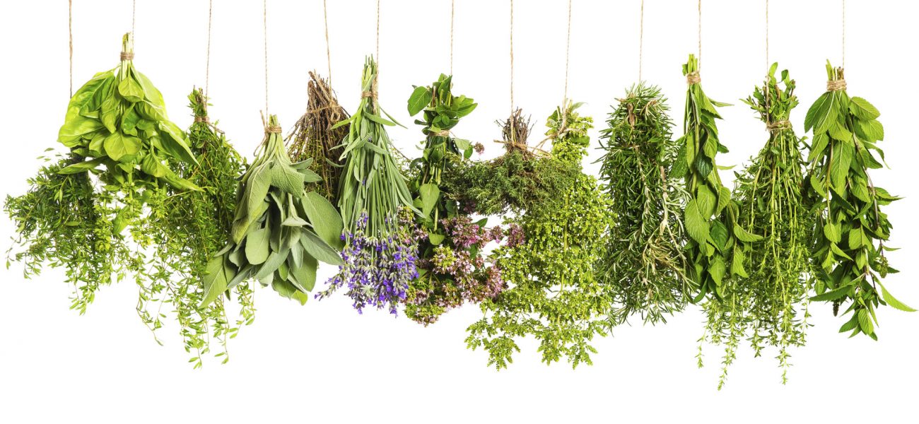 herbs hanging isolated on white. food ingredients